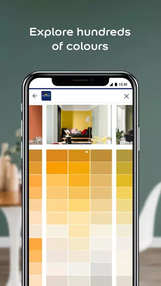 Dulux Visualizer ZA Capture d'écran 2