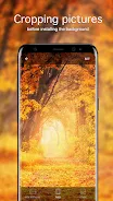 Autumn Wallpapers 4K Screenshot 4