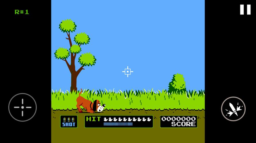 Duck Hunt Screenshot 4