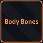 Bones Armor