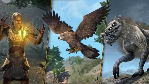 Các lớp con trực tuyến của Elder Scrolls đến sau 11 năm người hâm mộ yêu cầu nó