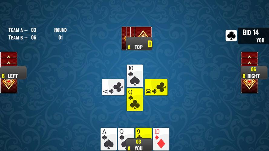 28 Card Game:Offline Card Game Screenshot 3