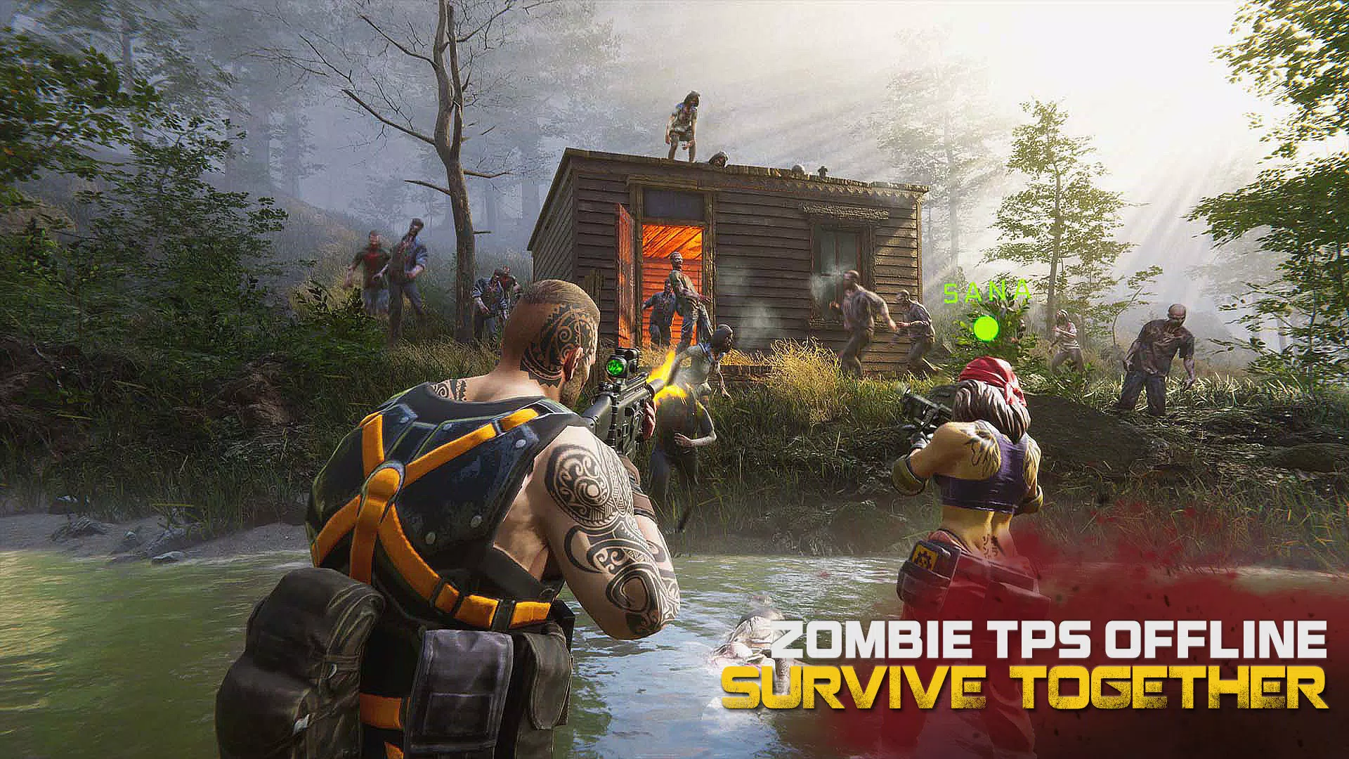 Zombie Shooter 3D Скриншот 1