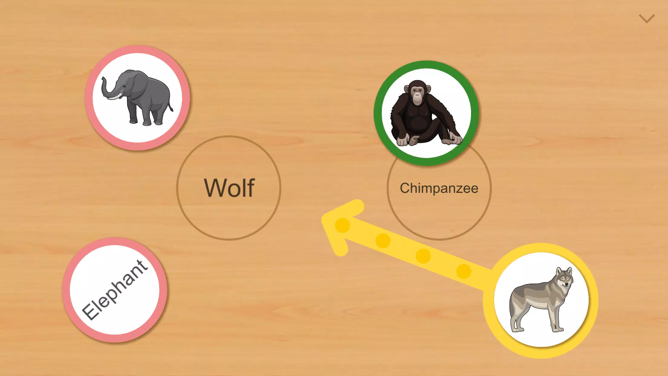 Animal Card Matching Screenshot 2