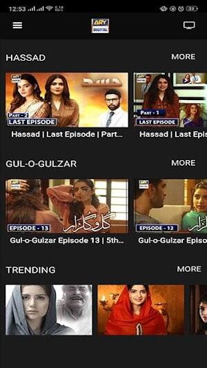 ARY DIGITAL應用截圖第4張