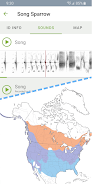 Merlin Bird ID by Cornell Lab Screenshot 3