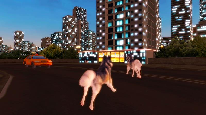 Husky Simulator Tangkapan skrin 3