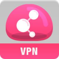 Check Point Capsule VPN