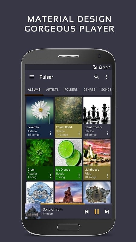 Pulsar Music Player Pro Ảnh chụp màn hình 1