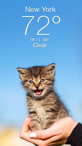 Weather Kitty - App & Widget Ảnh chụp màn hình 1