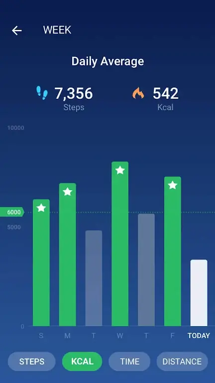 स्टेप काउंटर - Step Counter स्क्रीनशॉट 3