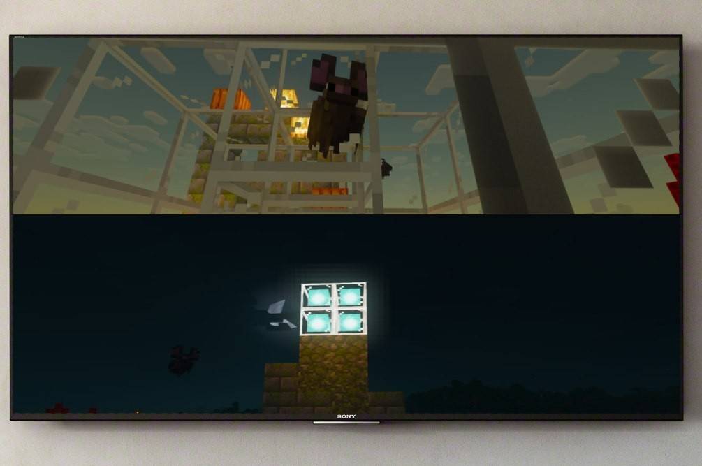 Minecraft'ta Splitscreen