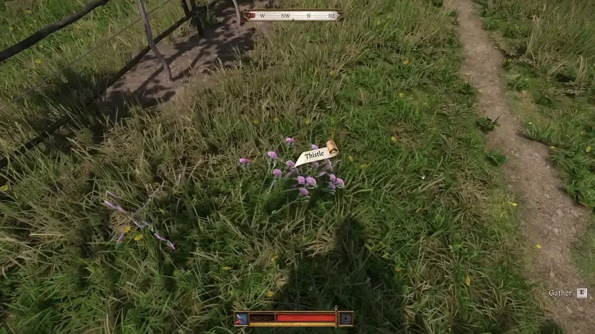 Kingdom Come Deliverance 2 Straw Hat Thistle