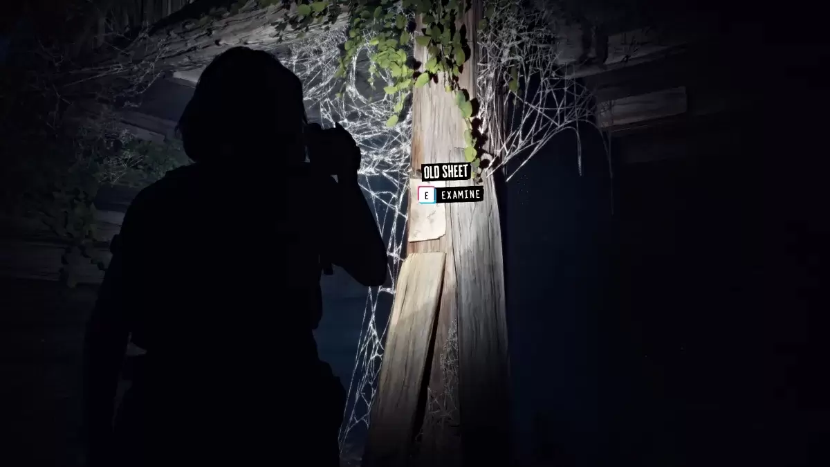 Candado de la cabaña