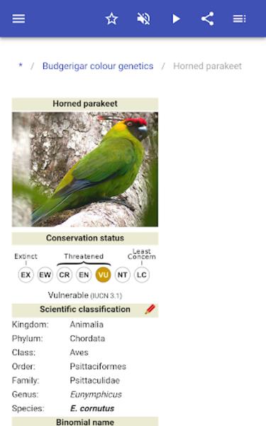 Parrots Ảnh chụp màn hình 3