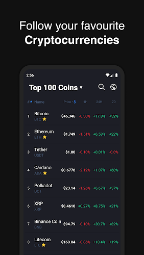 Hodler – Crypto Portfolio Capture d'écran 1