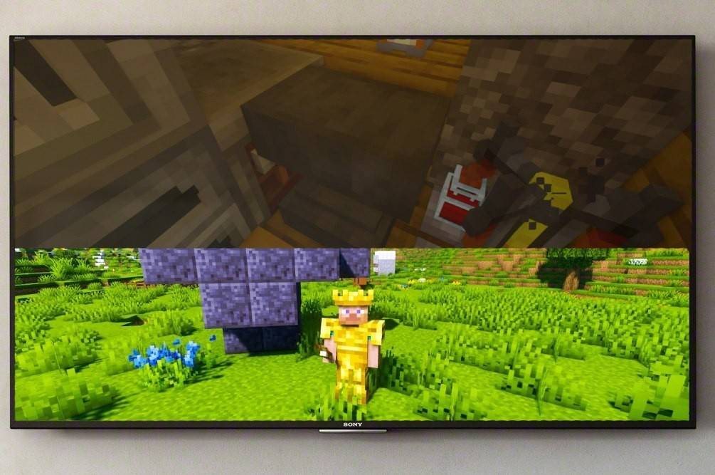 Splitscreen su Minecraft