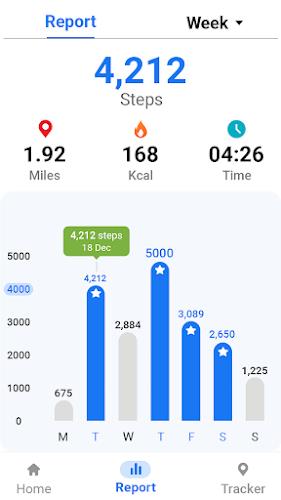 Pedometer - Step Tracker Tangkapan skrin 3