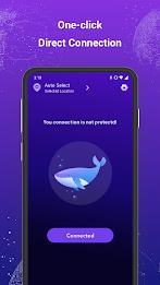 Dolphin VPN-Fast & Stable Capture d'écran 2