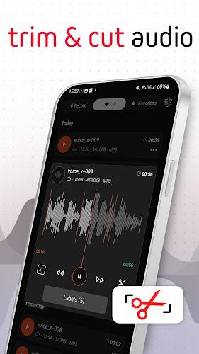 Voice Recorder Pro - VoiceX ภาพหน้าจอ 2