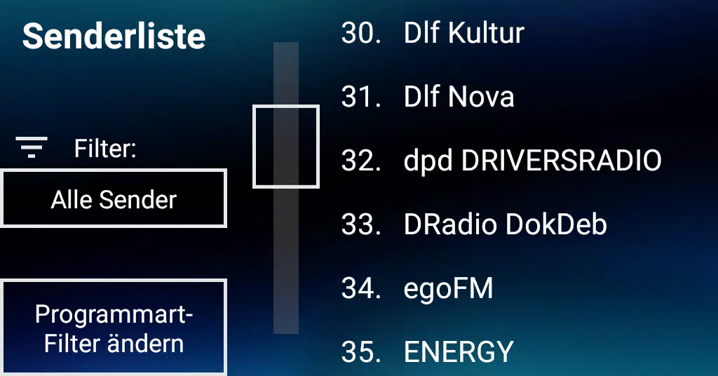 DAB+ Radio USB 스크린샷 4