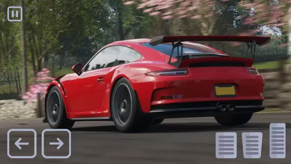 Racing Porsche Carrera 911 GT3 Screenshot 4