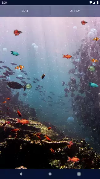 Schermata Ocean Fish Live Wallpaper 4K 4