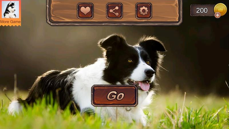 Border Collie Simulator Tangkapan skrin 3