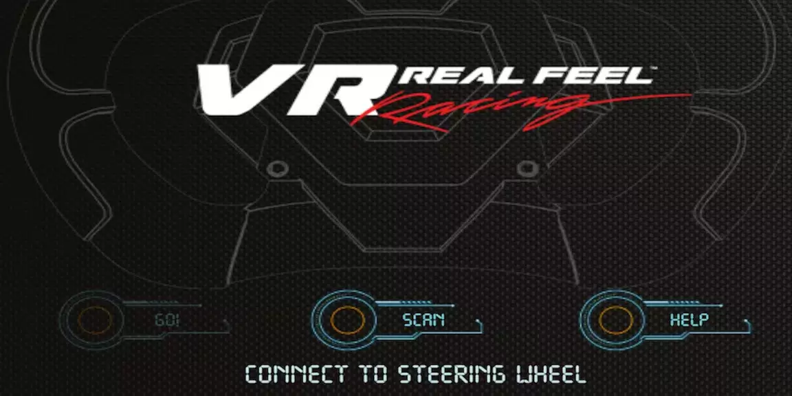 VR Real Feel Racing ဖန်သားပြင်ဓာတ်ပုံ 1