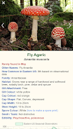 Shroomify - Mushroom Identific Screenshot 1