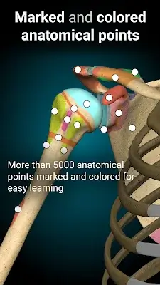 Anatomy Learning - 3D Anatomy Screenshot 3