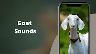 Goat Sounds Ekran Görüntüsü 1