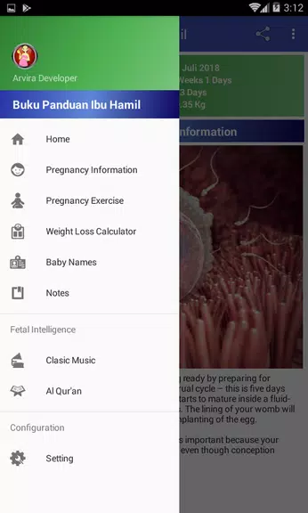 Pregnancy Guide应用截图第2张
