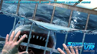 Swim Sharks Cage VR Simulator Ekran Görüntüsü 2