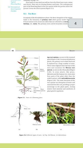 Class 11 Biology NCERT Book應用截圖第2張