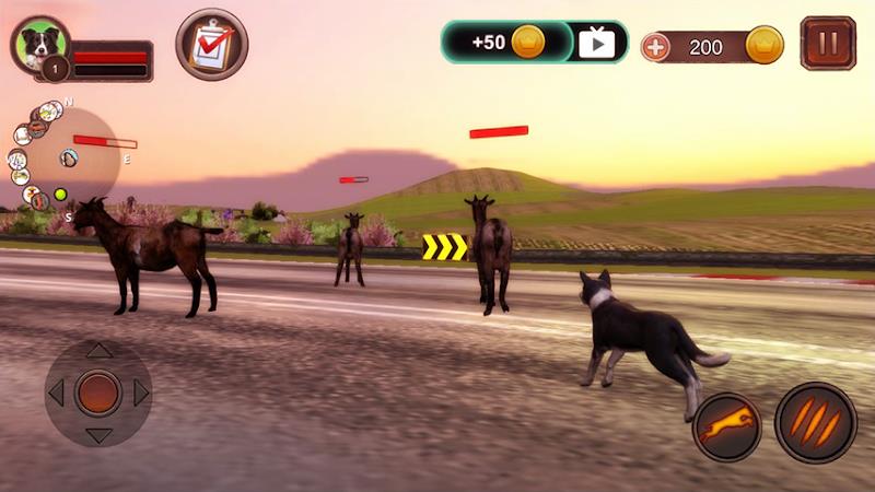 Border Collie Simulator Tangkapan skrin 2