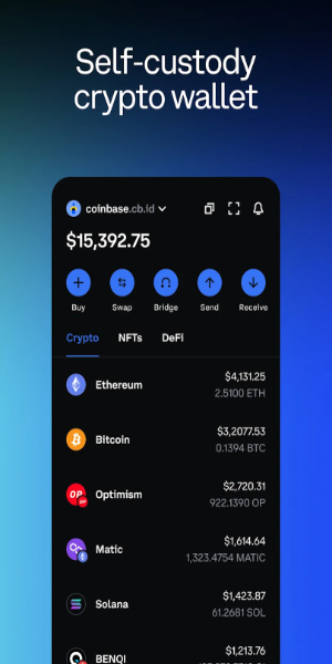 Coinbase Wallet Ekran Görüntüsü 2