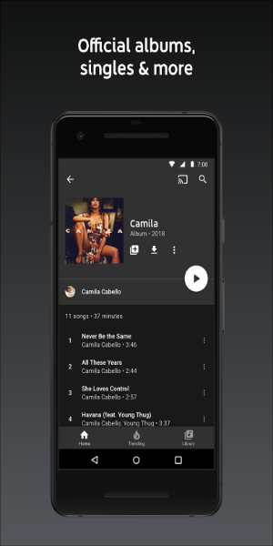 YouTube Music Mod Screenshot 1