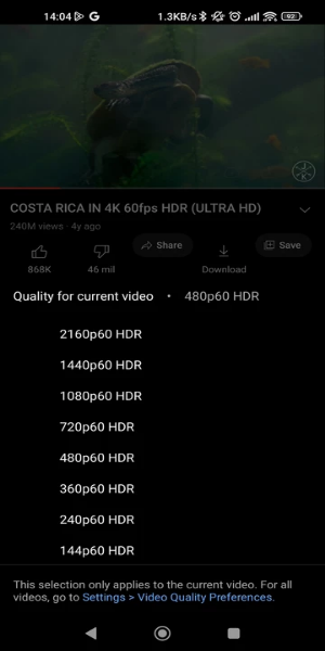 YouTube ReVanced Extended Screenshot 2