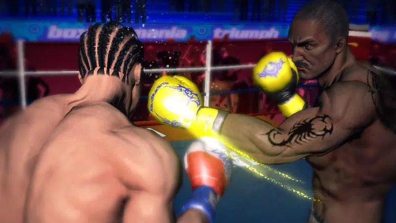 Punch Boxing 3D Captura de pantalla 2