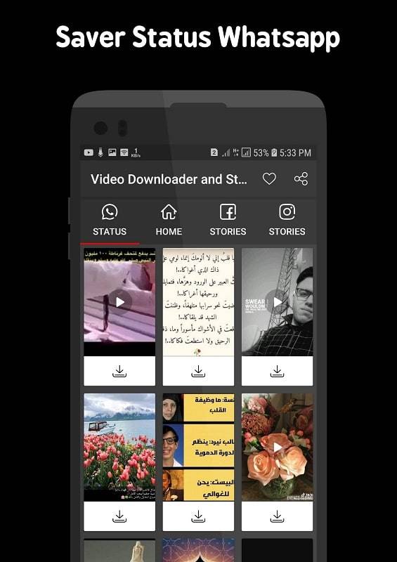 Video Downloader and Stories Screenshot 3