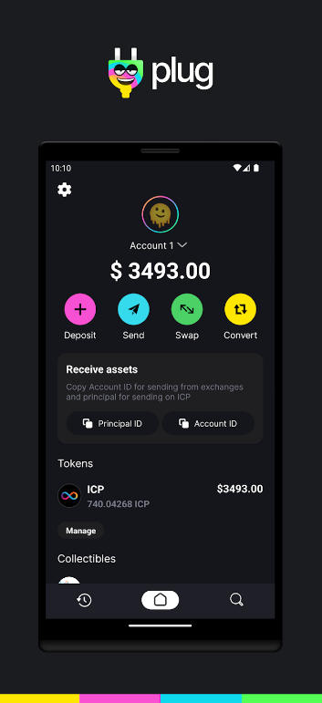 Plug Crypto Wallet Screenshot 3