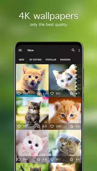 Cat Wallpapers & Cute Kittens Screenshot 2