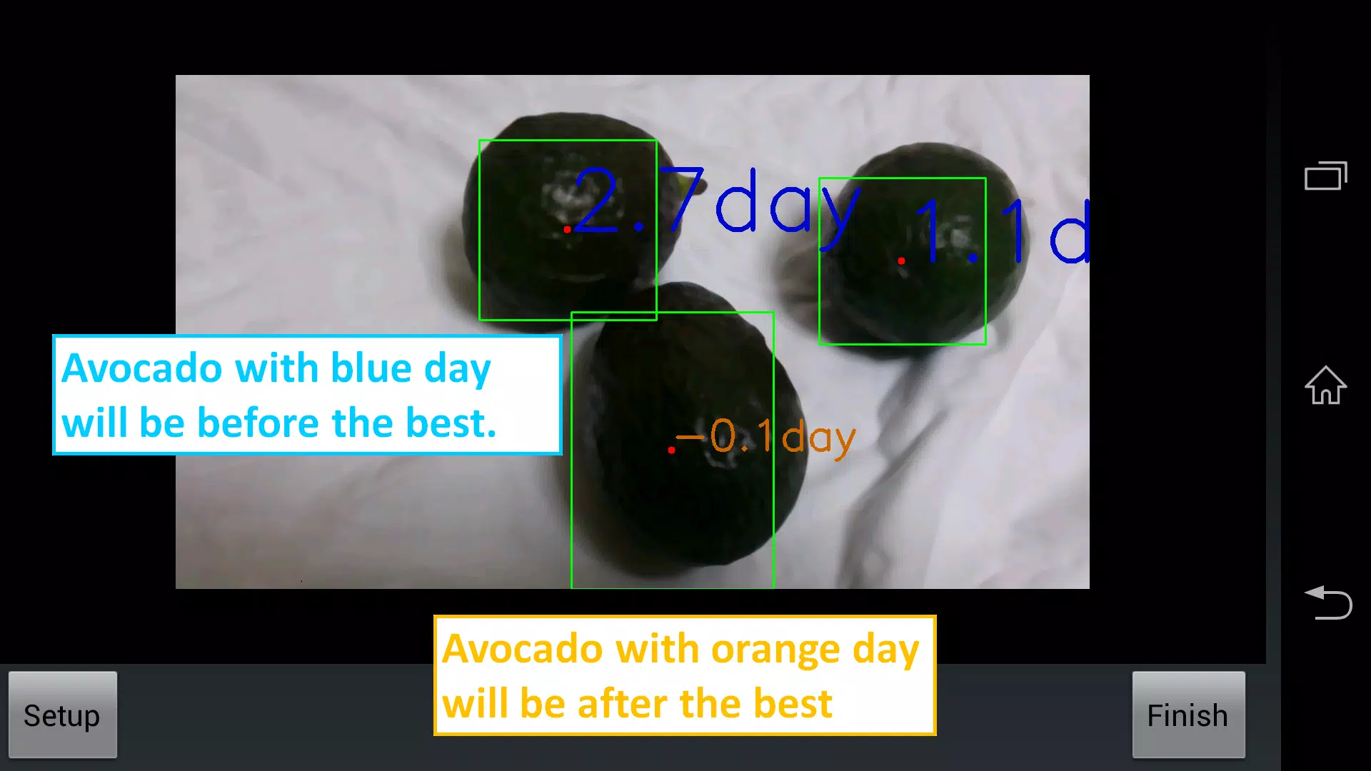 Avocado Checker Screenshot 4