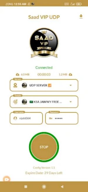 SAAD VIP UDP - Fast, Safe VPN ဖန်သားပြင်ဓာတ်ပုံ 3