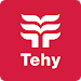 Tehy