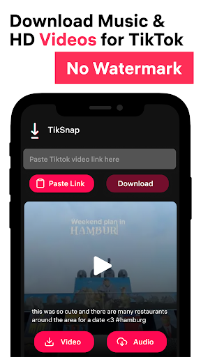 TikSnap: Downloader for TikTok স্ক্রিনশট 1