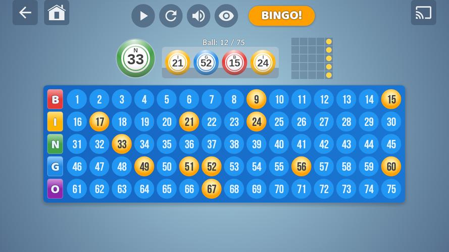 Bingo Set Screenshot 4