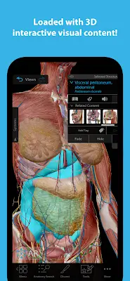 Human Anatomy Atlas 2024 スクリーンショット 1