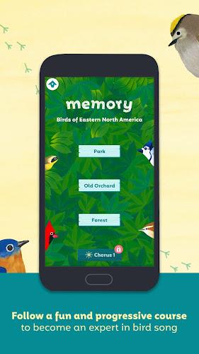 Birdie Memory应用截图第4张